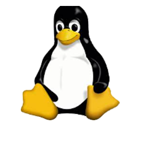 Other linux  